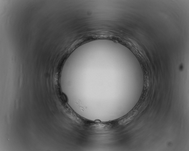 X0000100840326200806200744