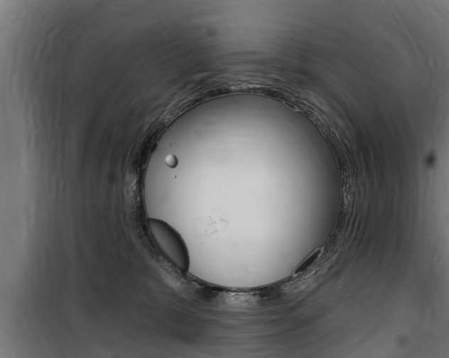 X0000100840327200806200744