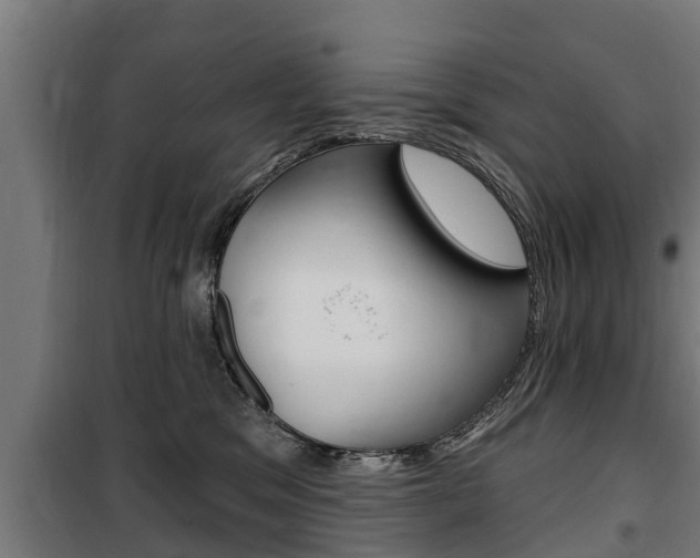 X0000100840329200806200744