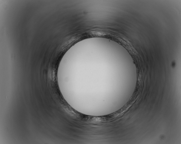 X0000100840330200806200744