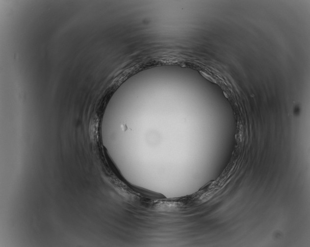 X0000100840332200806200744