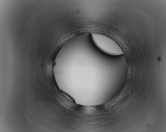 X0000100840333200806200744