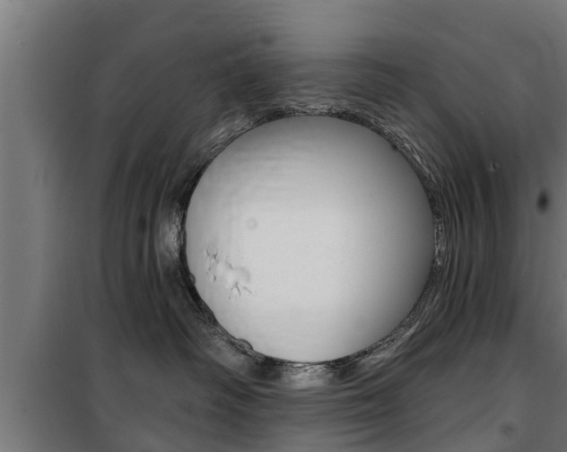 X0000100840334200806200744