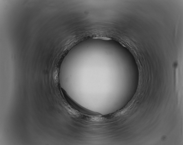 X0000100840336200806200744