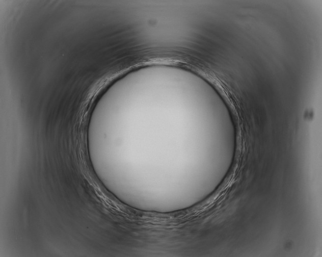 X0000100840337200806200743