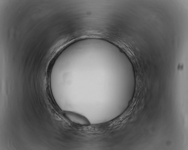 X0000100840338200806200743