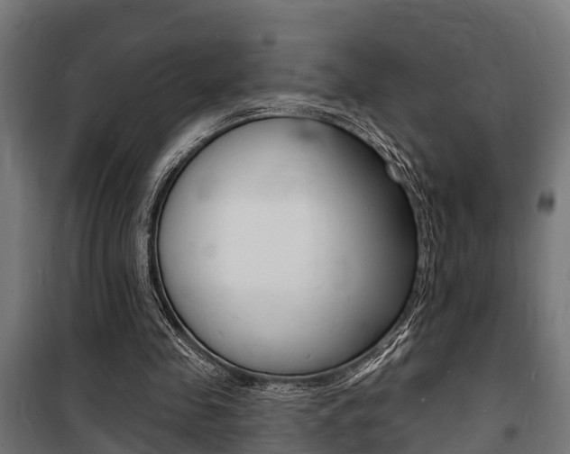 X0000100840341200806200743