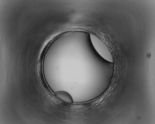 X0000100840342200806200743