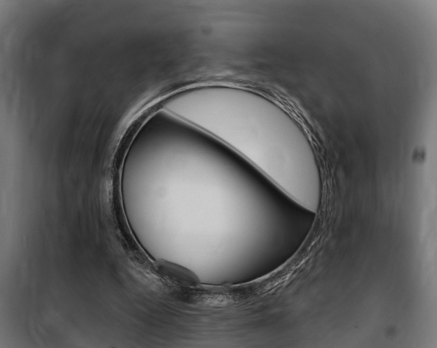 X0000100840344200806200743