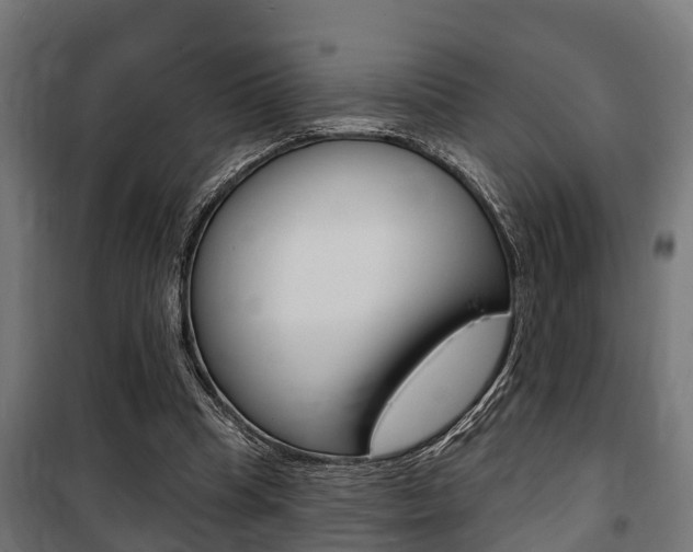 X0000100840345200806200743