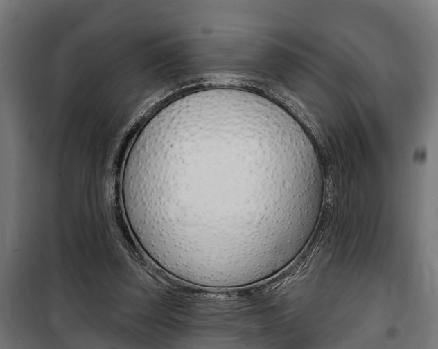 X0000100840347200806200743