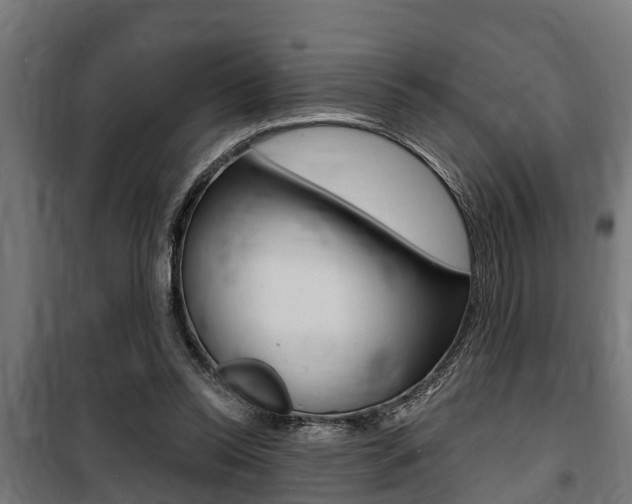 X0000100840350200806200743