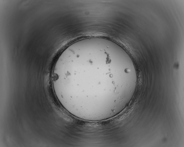 X0000100840351200806200743