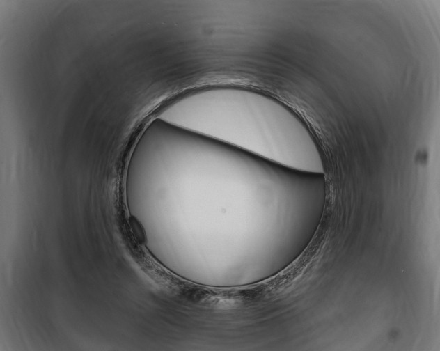 X0000100840352200806200743