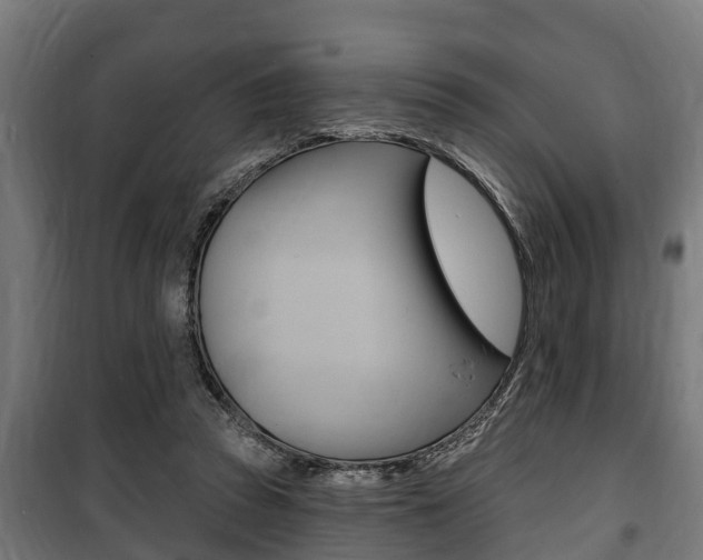 X0000100840353200806200743