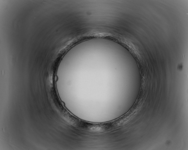 X0000100840358200806200743