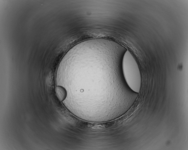 X0000100840359200806200744