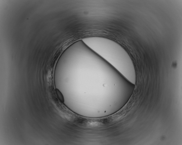 X0000100840360200806200744