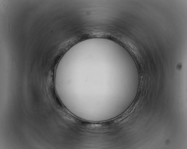 X0000100840361200806200744