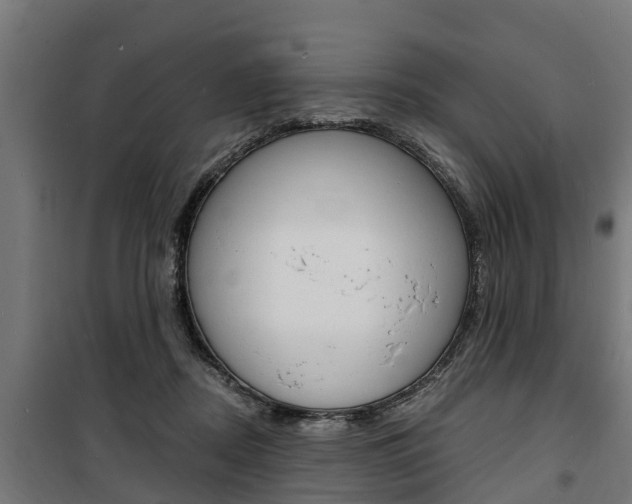 X0000100840362200806200744