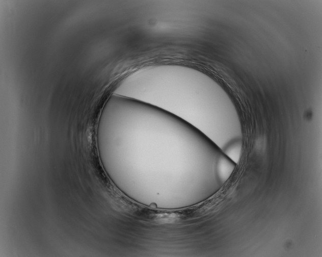 X0000100840363200806200744