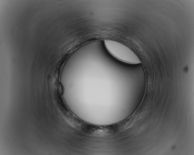 X0000100840364200806200744