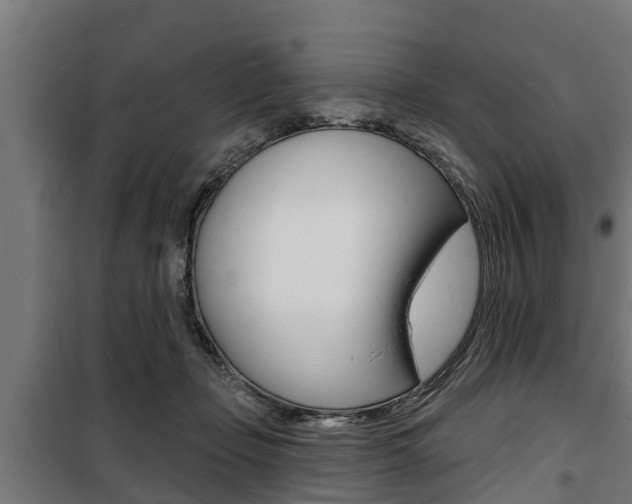 X0000100840365200806200744