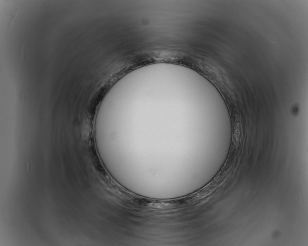 X0000100840367200806200744