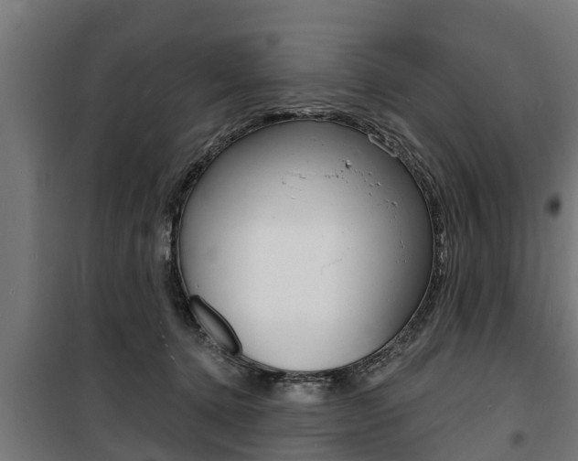 X0000100840368200806200744