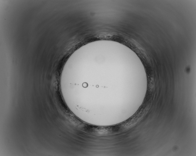 X0000100840370200806200744