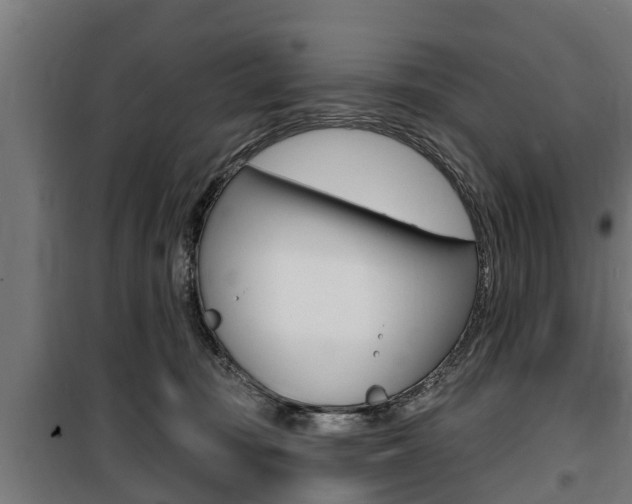 X0000100840371200806200744