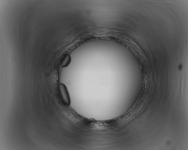 X0000100840372200806200744