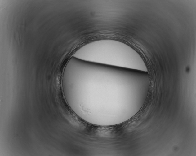 X0000100840373200806200744