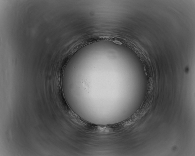 X0000100840376200806200744