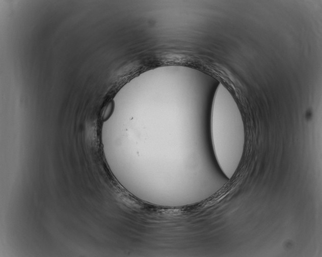 X0000100840377200806200744