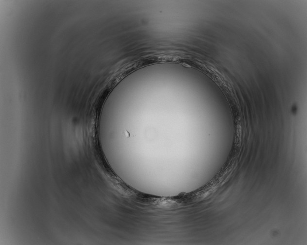 X0000100840379200806200744