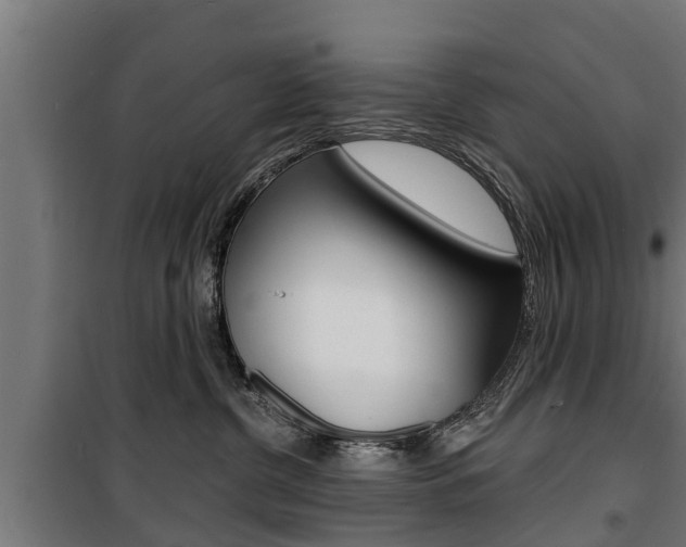 X0000100840380200806200744