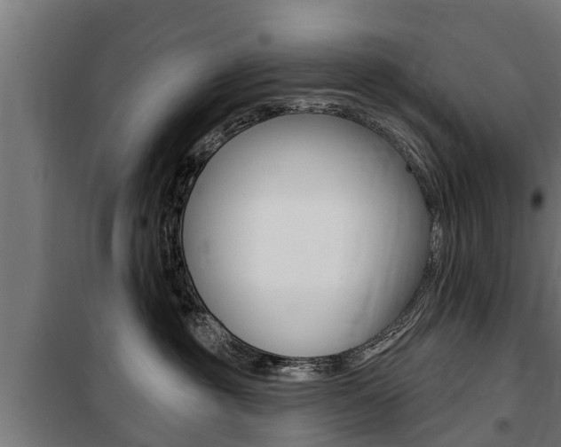 X0000100840381200806200744