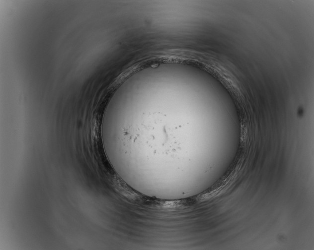 X0000100840382200806200744