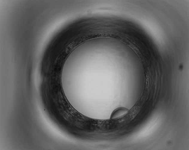 X0000100840383200806200744