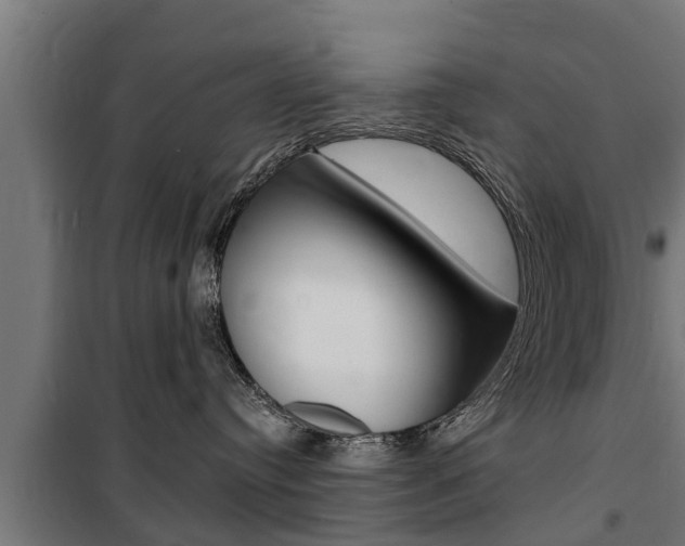 X0000100840384200806200744