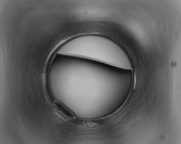 X0000100840387200806200743