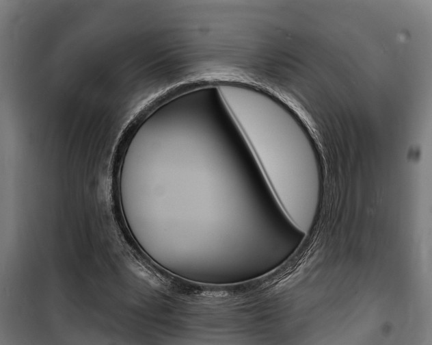 X0000100840391200806200743