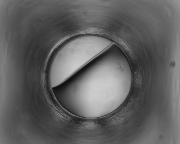 X0000100840392200806200743