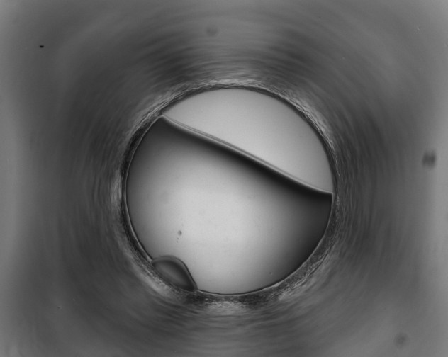 X0000100840397200806200743