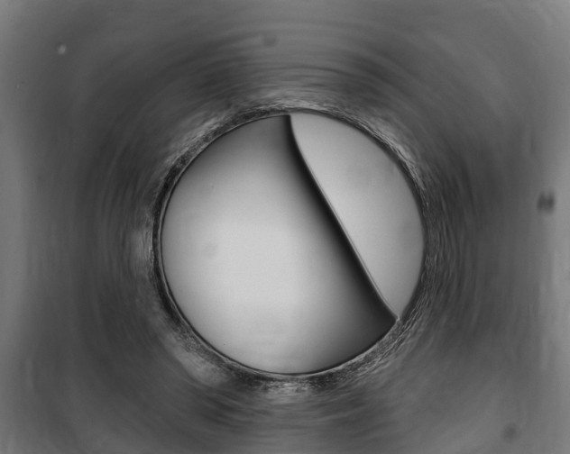 X0000100840398200806200743