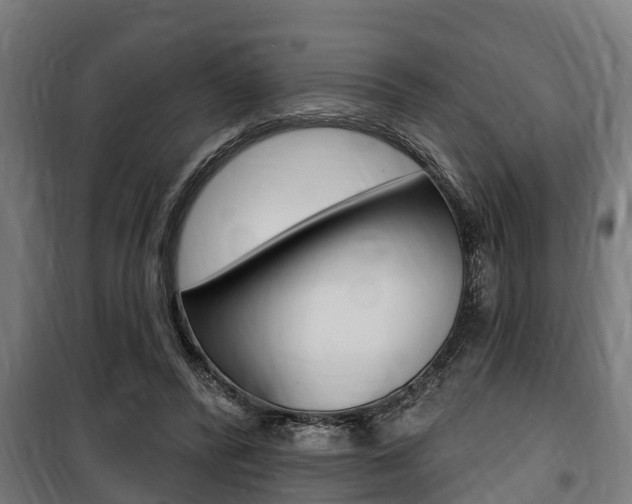 X0000100840400200806200743