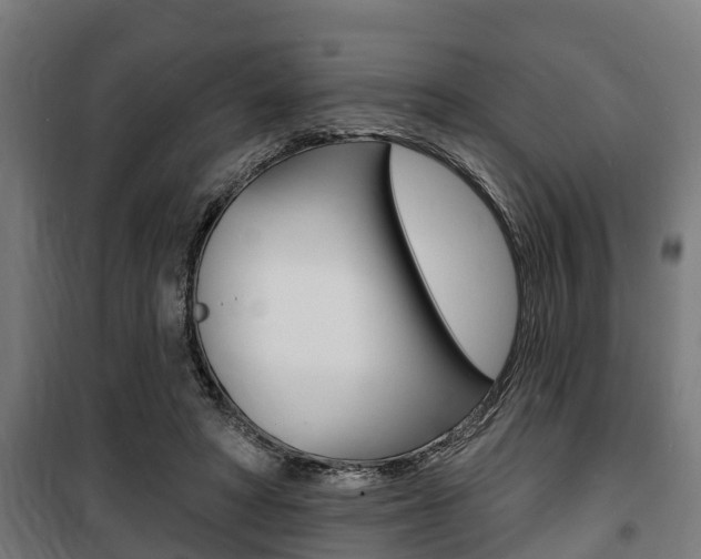 X0000100840402200806200743