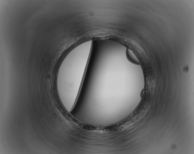 X0000100840404200806200743