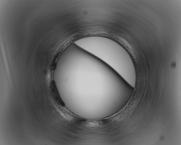 X0000100840405200806200743